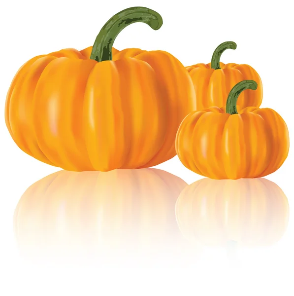 Three realistic pumpkins — Stock Vector