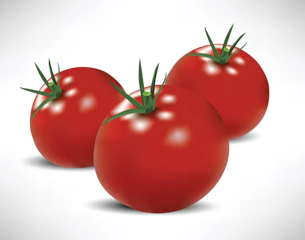 Tomates — Vector de stock