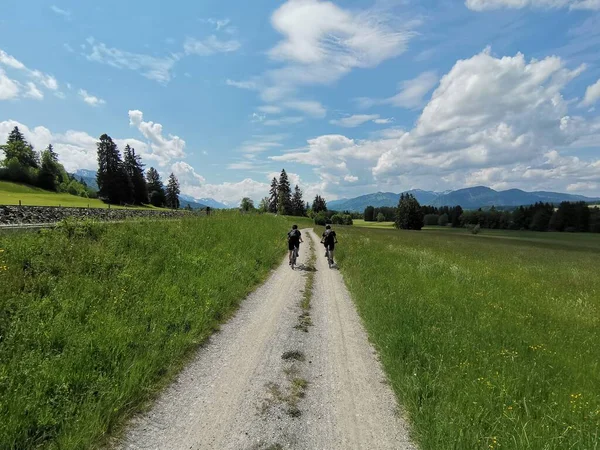 Велогонщики Їдуть Польовому Шляху Між Землеробством Ззаду — стокове фото