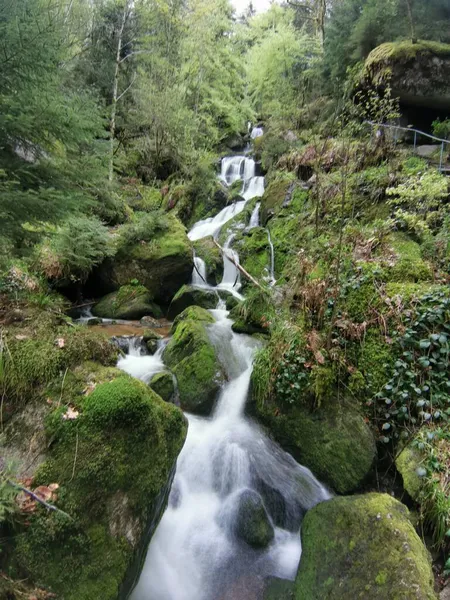 Moosbewachsene Felsen Gertelsbacher Wasserfällen Schwarzwald Deutschland — Stockfoto