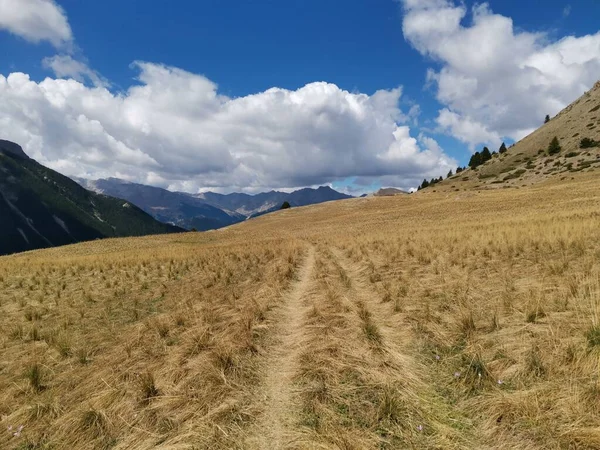 コルデラルシュ山脈近くの南フランス州の美しい乾燥した草のブッシュトレイルの風景 — ストック写真