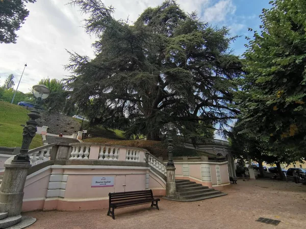 Evian Les Bains France Буйне Дерево Вершині Джерела Води Евіані — стокове фото