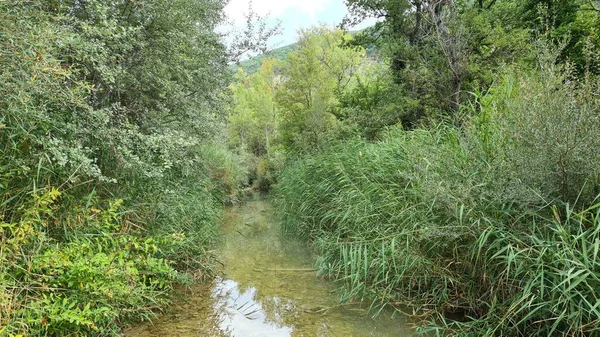 Güney Fransa Bol Pantolonlu Sığ Bir Nehir — Stok fotoğraf