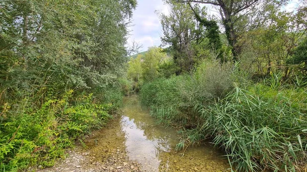 Ρηχό Ποτάμι Στη Νότια Γαλλία Πολλά Παντελόνια — Φωτογραφία Αρχείου