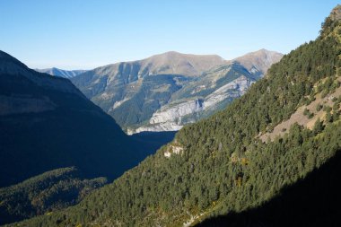 Torla Ordesa Ulusal Parkı 'ndaki dağ tepeleri ve orman manzarası