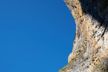 Torla Ordesa Ulusal Parkı 'ndaki uçurumdan uçan büyük kuşlar ve Eageller.