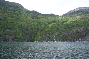 Norveç 'teki Lysefjord fiyortu ve kanyonu son derece dik granit kaya duvarları
