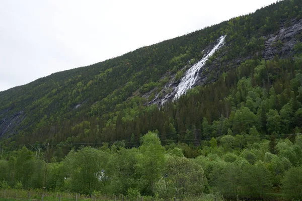 Cascate Nella Foresta Montana Rjukan Norvegia — Foto Stock