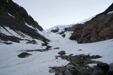 Ön planda orman ile dağlarda Folgefonna buzul kap, Odda, Hardanger bölge, Hordaland ilçe, Norveç
