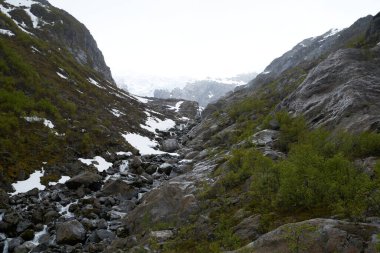 Ön planda orman ile dağlarda Folgefonna buzul kap, Odda, Hardanger bölge, Hordaland ilçe, Norveç