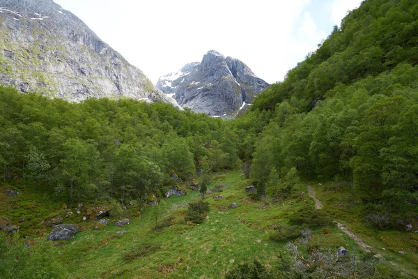 Gyönyörű Zöld Természet Norway Közelében Odda Egy Gleccser — Stock Fotó