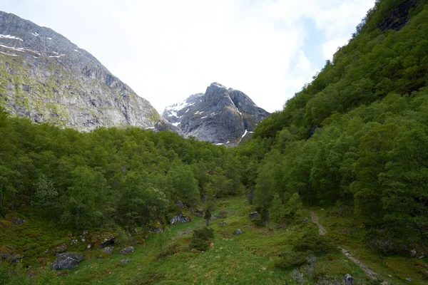 Красивая Зеленая Природа Норвегии Рядом Оддой Леднике — стоковое фото