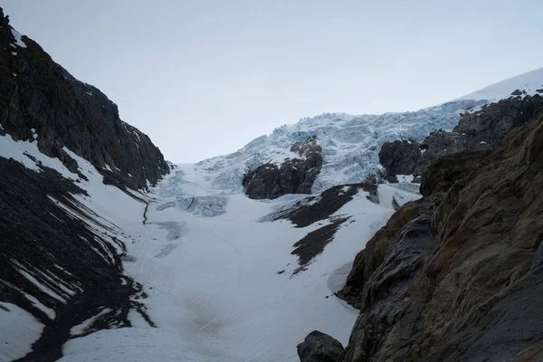Ön planda orman ile dağlarda Folgefonna buzul kap, Odda, Hardanger bölge, Hordaland ilçe, Norveç