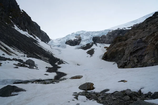 Ön planda orman ile dağlarda Folgefonna buzul kap, Odda, Hardanger bölge, Hordaland ilçe, Norveç