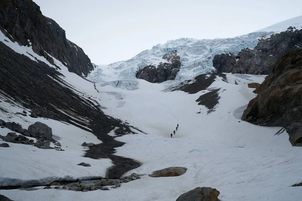Arka planda Tur Rehberi, Norveç yakınlarındaki Buarbreen buzulunda yürüyüş.