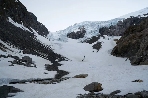 Ön planda orman ile dağlarda Folgefonna buzul kap, Odda, Hardanger bölge, Hordaland ilçe, Norveç