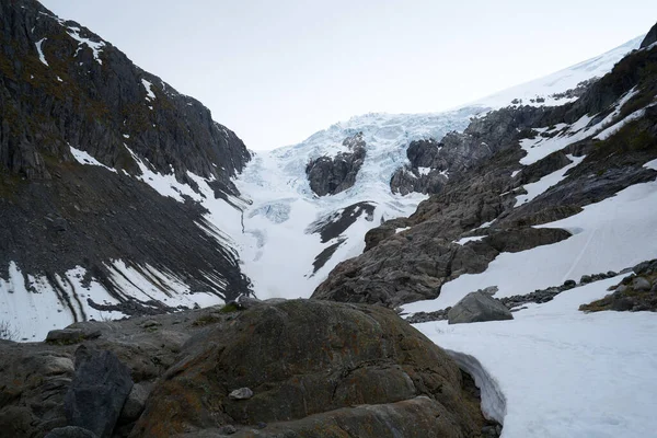Ön planda orman ile dağlarda Folgefonna buzul kap, Odda, Hardanger bölge, Hordaland ilçe, Norveç