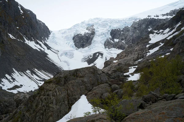 Dağlarda buzulların tepesinde orman, Odda, Tehlike Bölgesi, Hordaland Bölgesi, Norveç