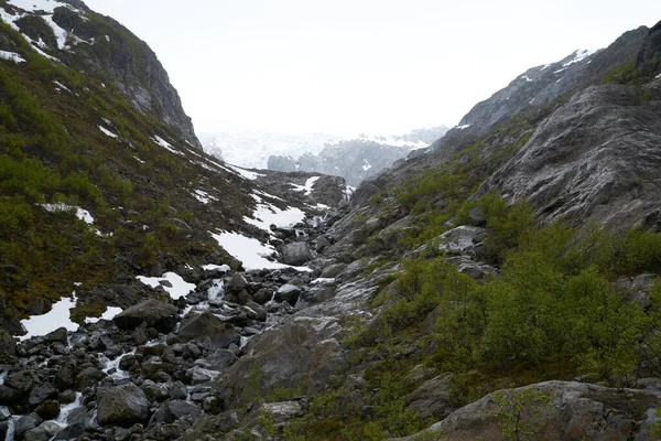 Ön planda orman ile dağlarda Folgefonna buzul kap, Odda, Hardanger bölge, Hordaland ilçe, Norveç