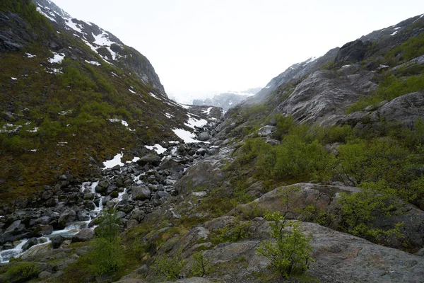 Folgefonna Glacier Cap Bergen Met Bos Voorgrond Odda Hardanger Region — Stockfoto