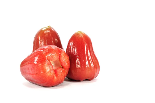 Jabłka różane lub chomphu izolowane na białym tle — Zdjęcie stockowe