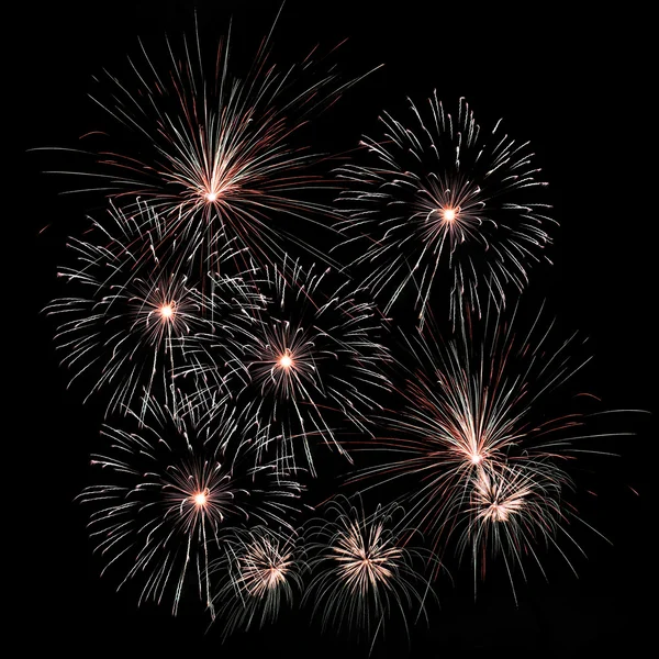 Colorful fireworks on the black sky background — Stock Photo, Image