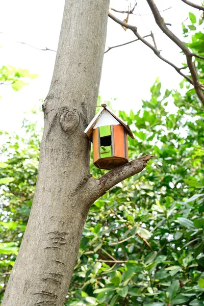 Vogelhaus im herbstlichen Wald — Stockfoto