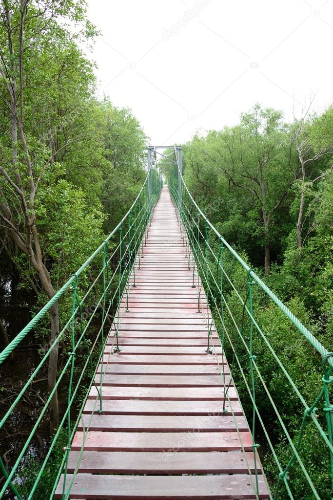 Wooden bridge go to mangrove forest