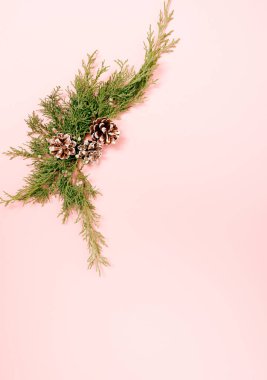 Pastel pembe arka planda Noel kompozisyonu. Metin için kopyalama alanı olan bayram tebrik kartı.