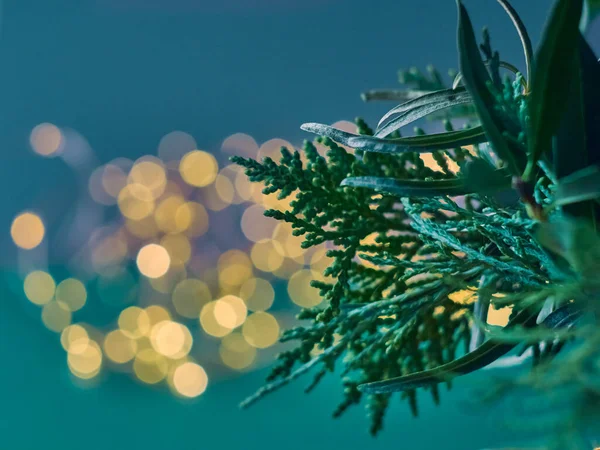 トゥハの枝を持つクリスマス抽象的なボケの背景 クリスマスライト — ストック写真