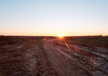 Sonbahar sabahının erken saatlerinde tarlada gün doğumu.