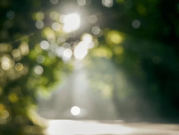 Bokeh ve güneş ışığıyla doğal bulanık arkaplan.