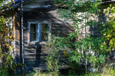 Geçen yüzyılın başında yapılmış eski ahşap terk edilmiş bir evin köşesi Kemeri Letonya.