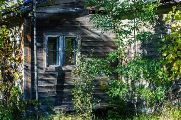 20世紀初頭に建てられた古い木造廃屋の一角 ケメリ ラトビア — ストック写真