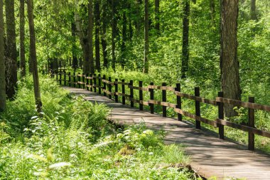 Parkta çitleri olan ahşap bir patika, güzel yaz manzaraları