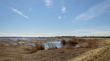 Gölün suyunu tamamen kaplayan altın sazlıklar güneşte parlıyor..
