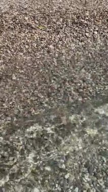 Crystal clean waves on surf line of Adriatic sea. Seashore in sunny morning. Sunbeams on transparent turquoise sea water. Calmness of nature. Summer happiness