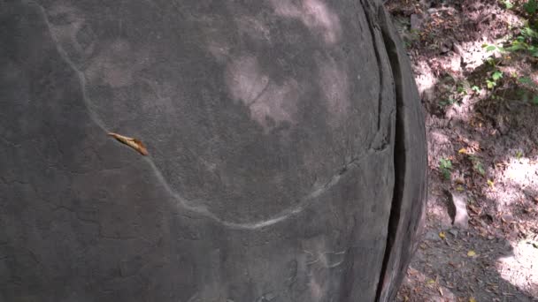 神秘的な巨大な丸い石 Podubravlje Zavidoviciボスニア ヘルツェゴビナ — ストック動画