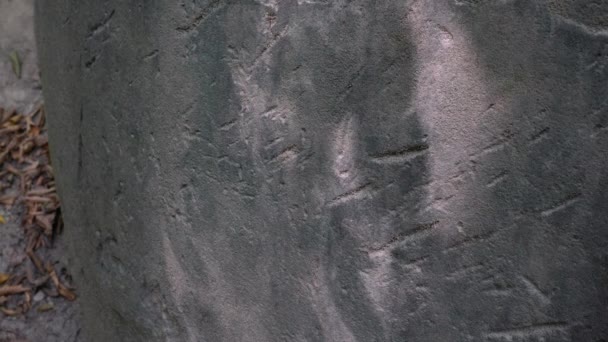 Misteriosa Piedra Redonda Gigante Detalle Podubravlje Zavidovici Bosnia Herzegovina — Vídeo de stock