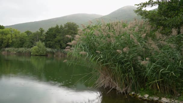 Grote Hodzica Zdrimacko Lake Gornji Vakuf Uskoplje Bosnië Herzegovina — Stockvideo