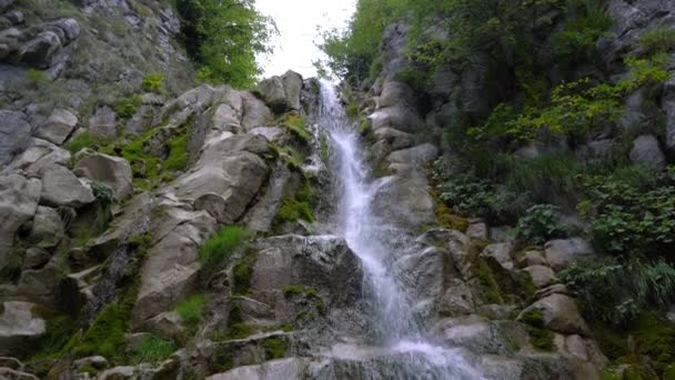 Водоспад Пляковац Гора Власич Боснія Герцеговина — стокове відео