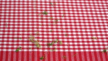 Çit Bedstraw 'ı küçük parçalara ayırmak (Galium mollugo)