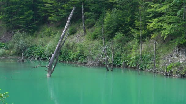 Jezero Jasenica Hora Vlasic Bosna Hercegovina — Stock video