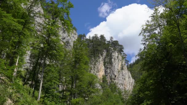 Krajobraz Górski Drzewa Skale Błękitne Niebo Ruchome Chmury — Wideo stockowe
