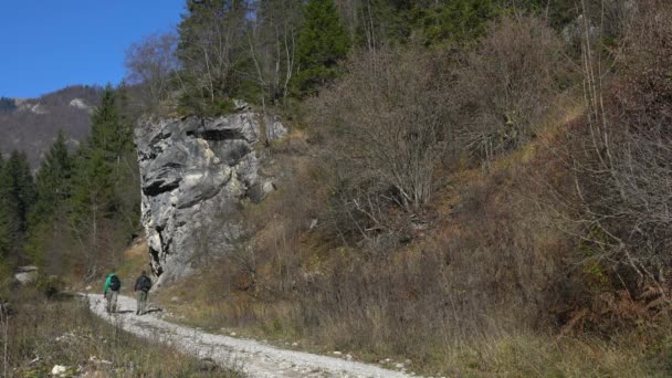 Escursionisti Sentiero Forestale Accanto Una Grande Roccia Vlasic Montagna Bosnia — Video Stock