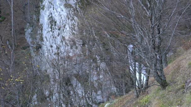 Cachoeira Kozica Montanha Vlasic Bósnia Herzegovina — Vídeo de Stock