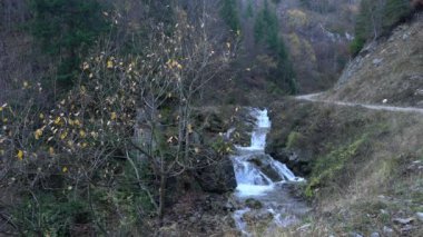 Şelale Kozica, Vlasiç dağı, Bosna-Hersek