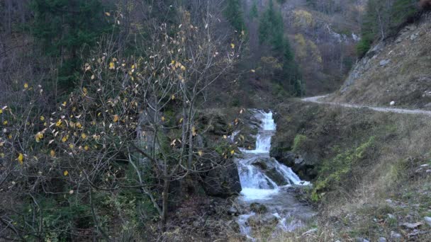 Водопад Козица Власова Гора Босния Герцеговина — стоковое видео