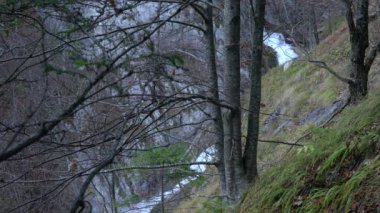 Şelale Kozica, Vlasiç dağı, Bosna-Hersek