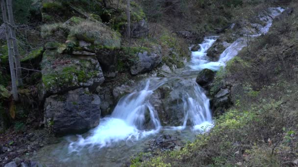 ストリーム川コジカ ベラクルの山 ボスニア ヘルツェゴビナ — ストック動画